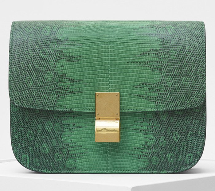 Celine-Winter-2017-Bag-Collection-33