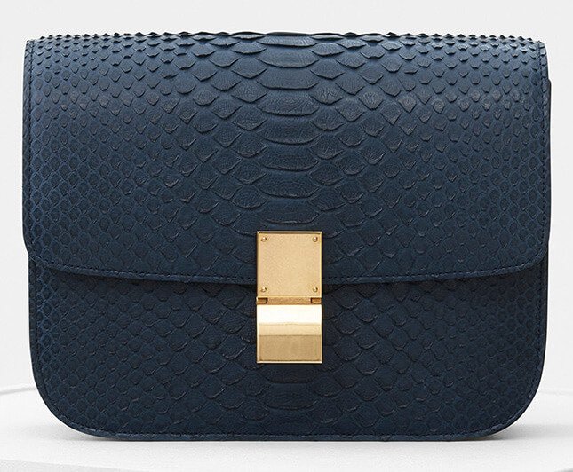 Celine Winter 2018 Prices 34