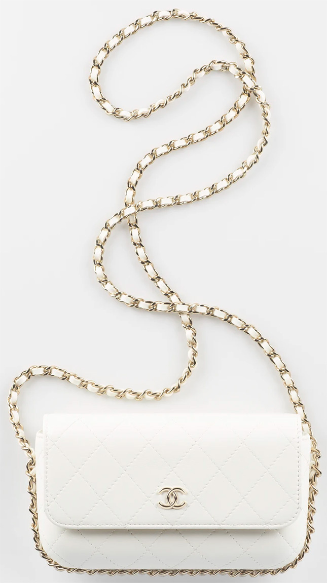 Chanel Pre Fall SLG Collection V Chanel Pre Fall SLG Collection V