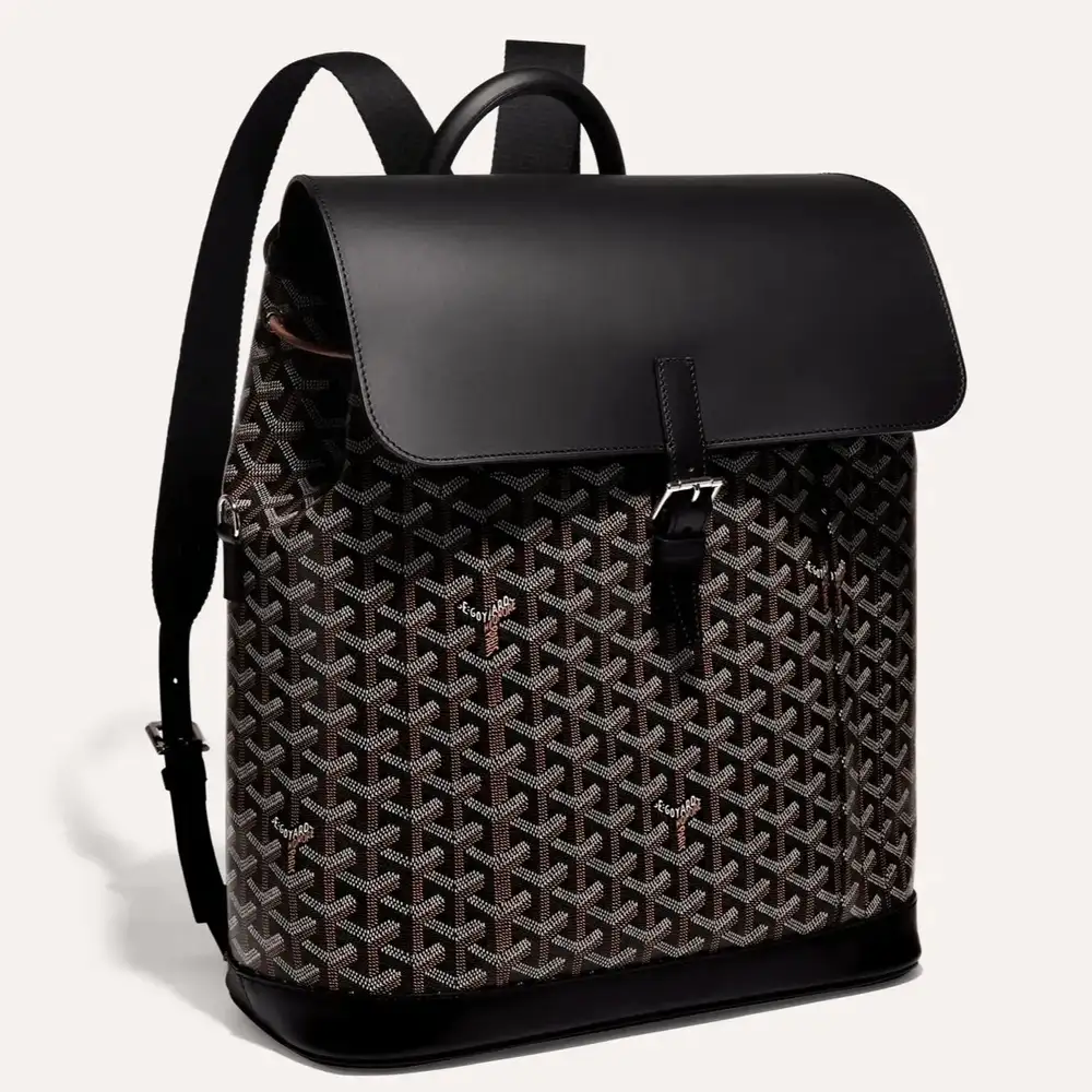 Goyard Alpin MM Backpack 1
