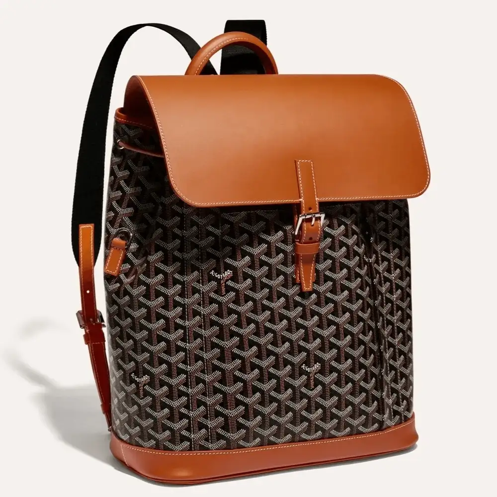 Goyard Alpin MM Backpack 2