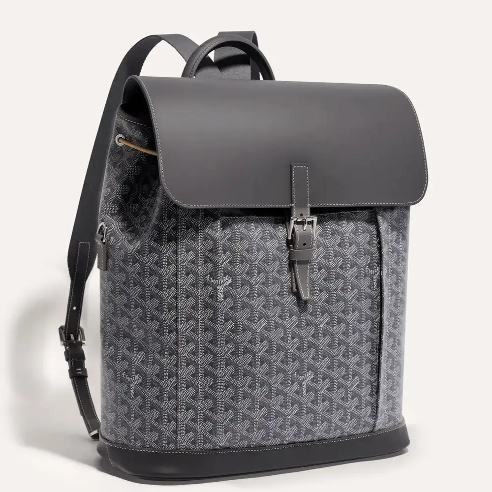 Goyard Alpin MM Backpack 5