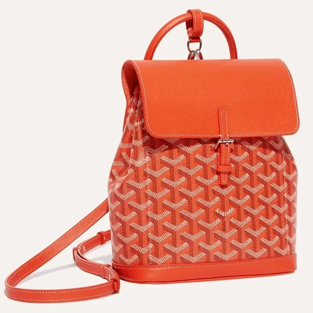 Goyard Alpin Mini Backpack 4