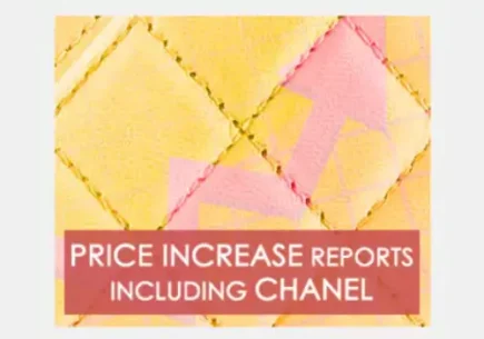 chanel price increase homepage