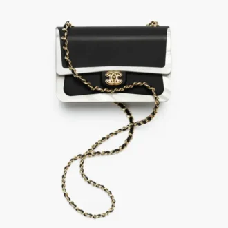 Chanel flap bag minaudiere plexi gold tone metal AS6620B26229UE101